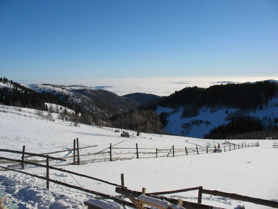Vand teren in Muntele Bocului