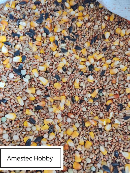 Hrana Porumbei,Turturele,Fazani,Potarnichi,Găini,Păuni,Rate,Pasari