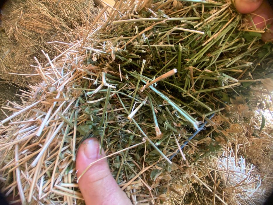 Vând baloți lucernă