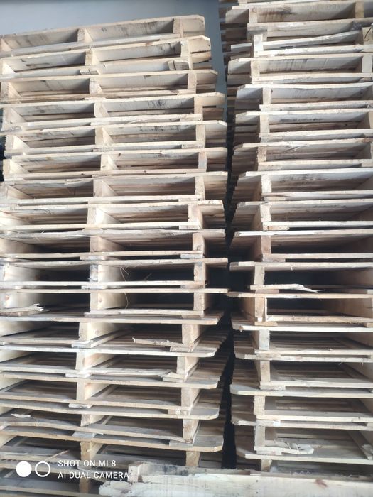100x120 Paddon taxta 40.000 ming sõm dan