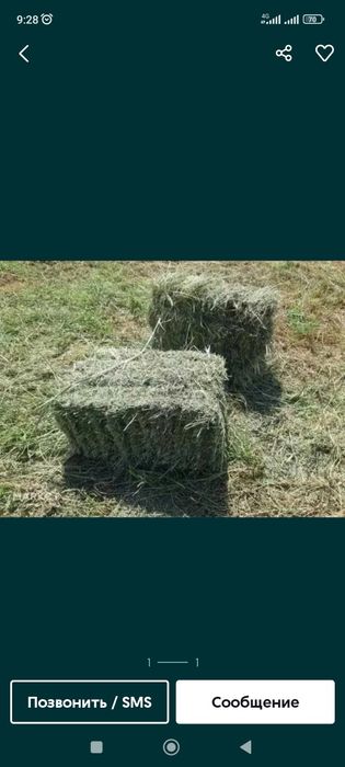 Продается люцерна в тюках.