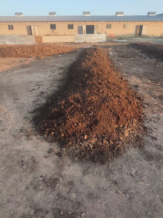 Биогомус сайрам 1