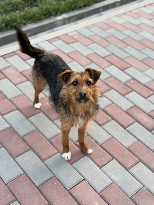 Девочка Евочка ищет любящую семью