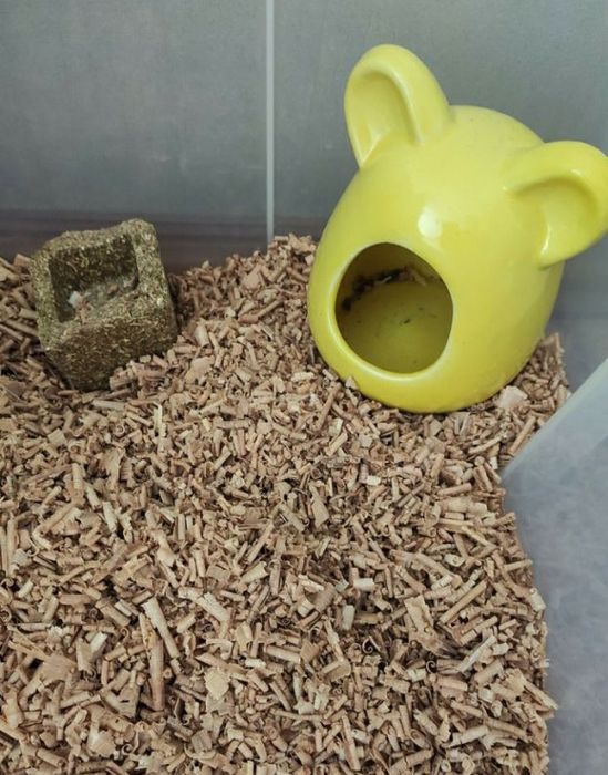 Стружка буковая для питомцев.