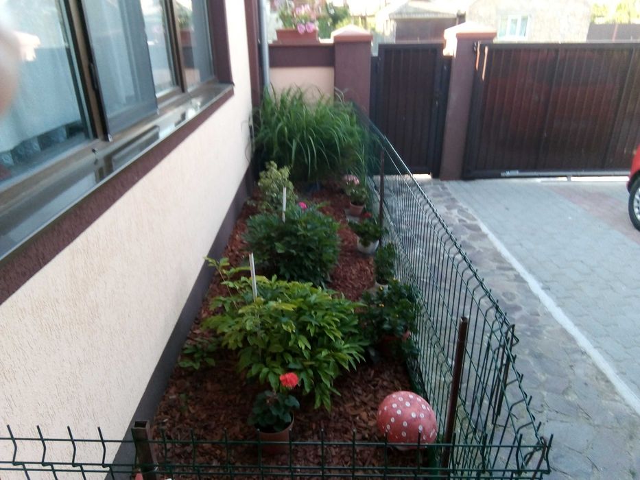 Vand Casă Deosebită cu Grădină Matura și Intimitate Totală (25 km de Timișoara)