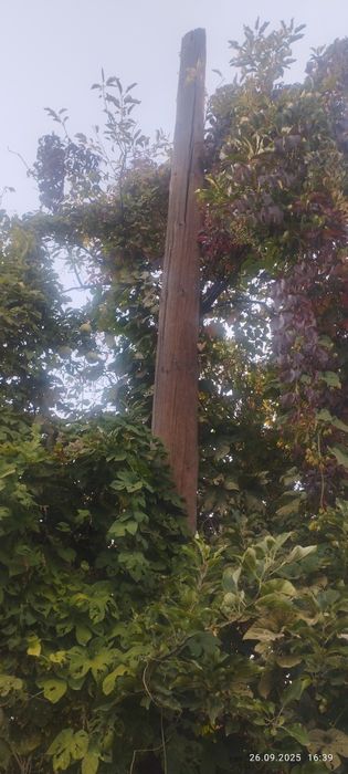 Продам  столб. .