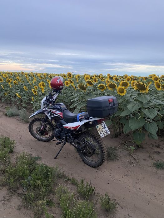 Racing pro 250 а хорошем состояние