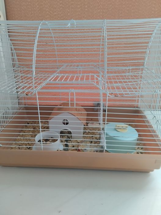 Продам хомяка в месте с клеткой