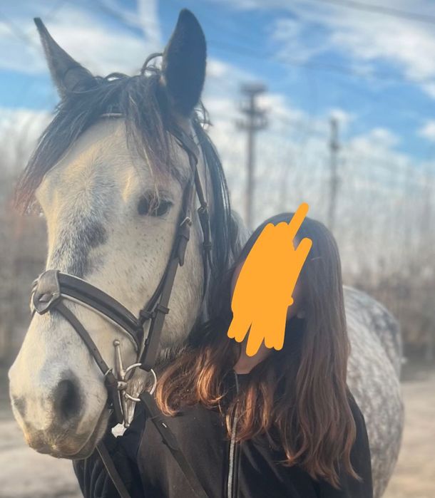 Iapa în vârstă de 7 ani