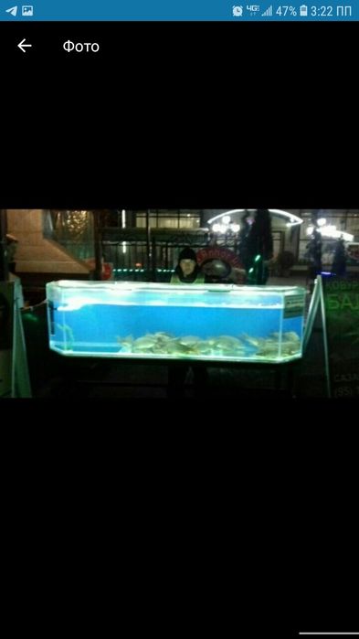 АКВА СЕРВИС Изготовление и ремонт аквариума обслуживание и другие усл