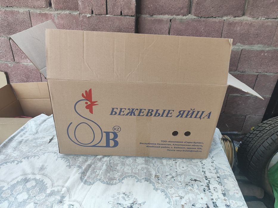 Коробки для яйц.