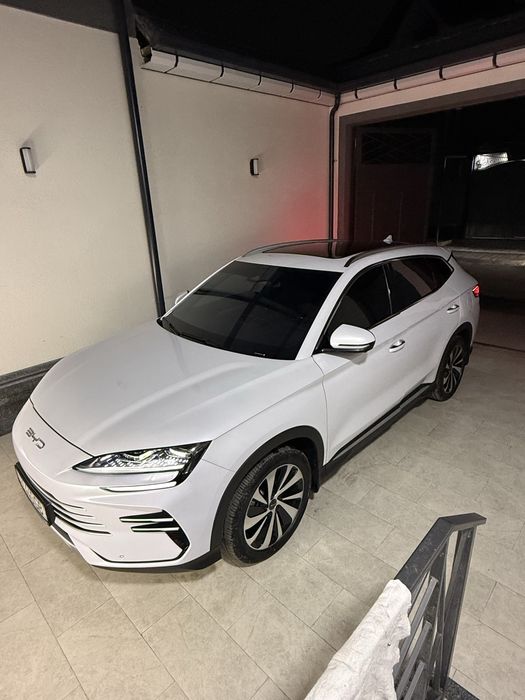 Byd Champion Gybrid 2024