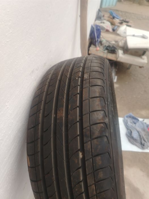 Balon jentradan yichilgan 800 km yurgan.