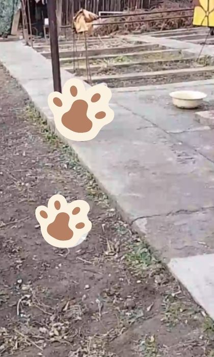 Продам дом. Расср