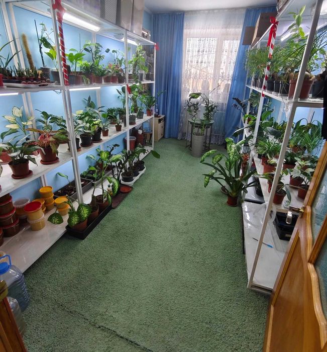 Трехкомнатная квартира. КСК.