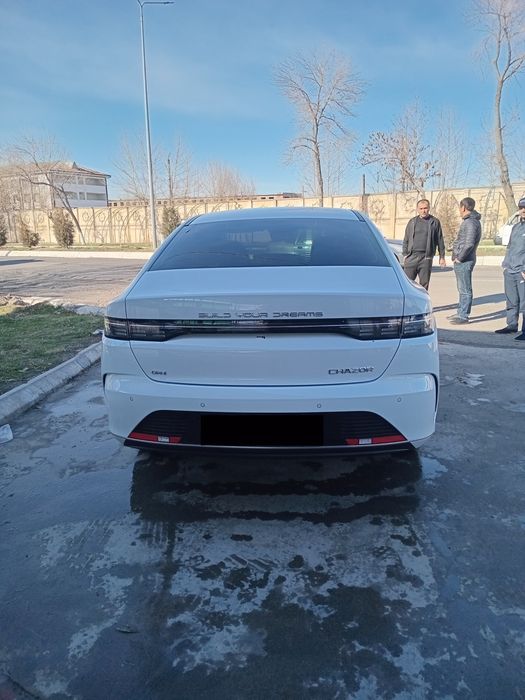 Byd Chazor Chempion 120