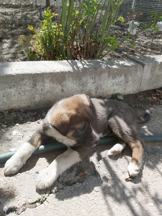 Девочка ищет семью!!!