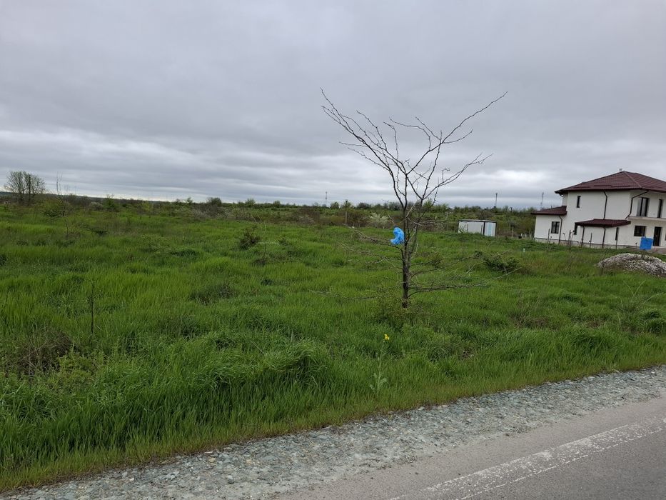 Teren intravilan 2000mp Cernavodă