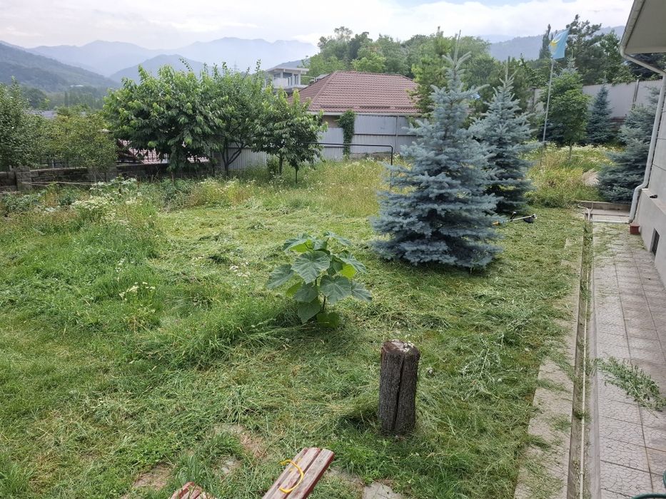 Отдам  сено, для клрма скоту