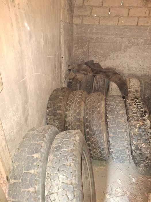 Донгелек покрышки