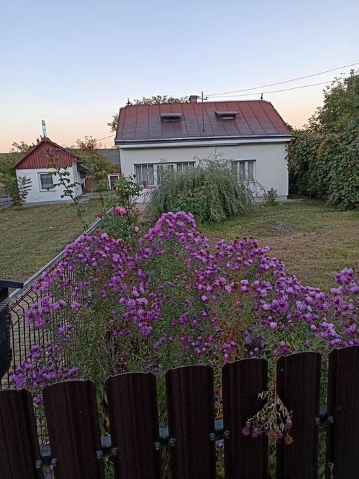 Casa si anexe in Maritei - centru