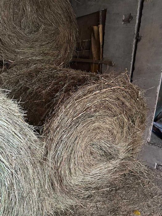 Продажа рулонов сена