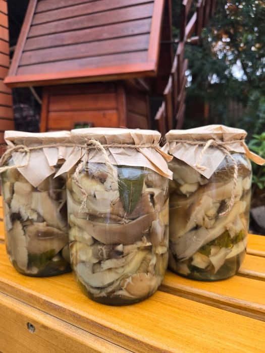 Продам грибы маринованные