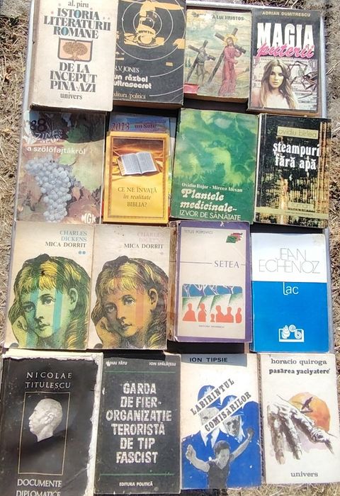 Cărți, salvați literatura