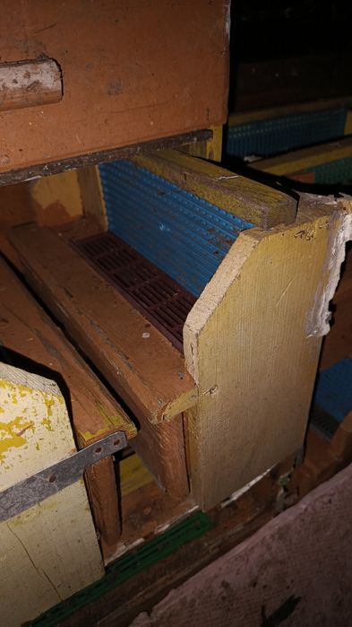 Colector polen crud albine
