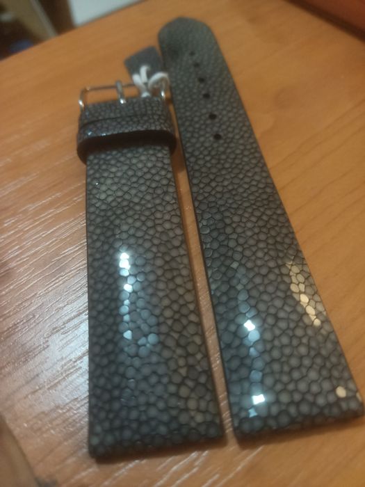 Curea de  ceas pisica de mare