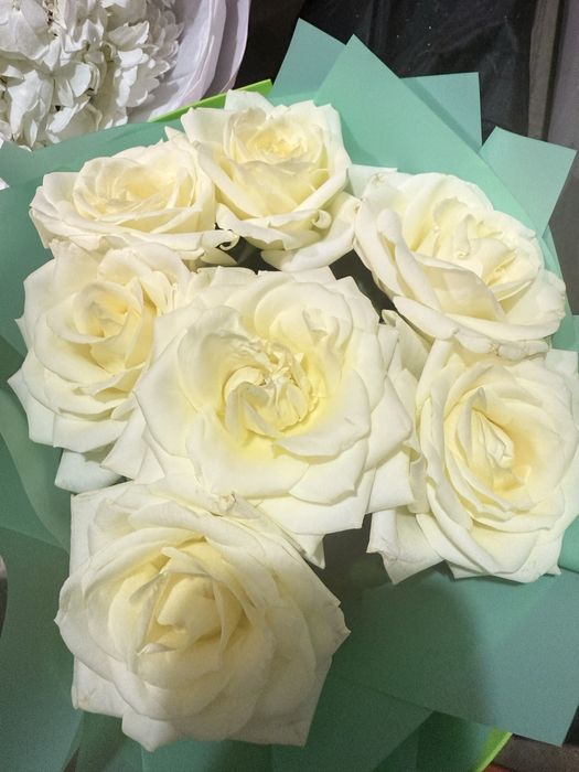 Цветы! Букеты! Розы красные и белые!