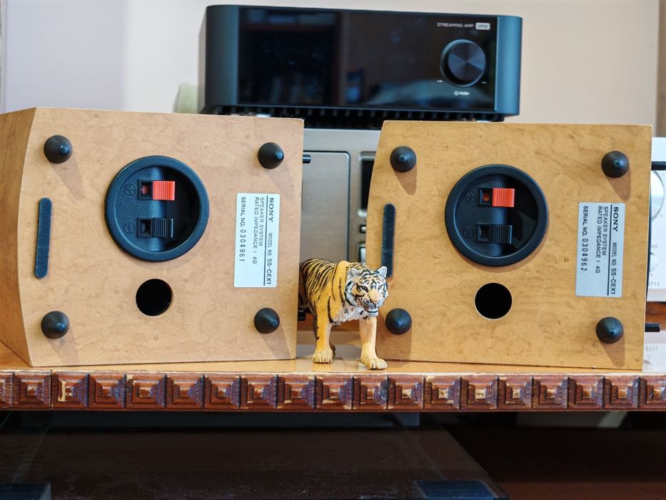 Sony SS-CEX1. Boxe raft foarte rare. Sunet top. Ca noi. Preț fix !