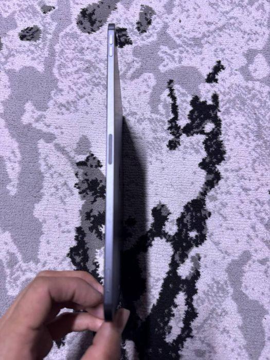 ipad  pro 11 dyomniy