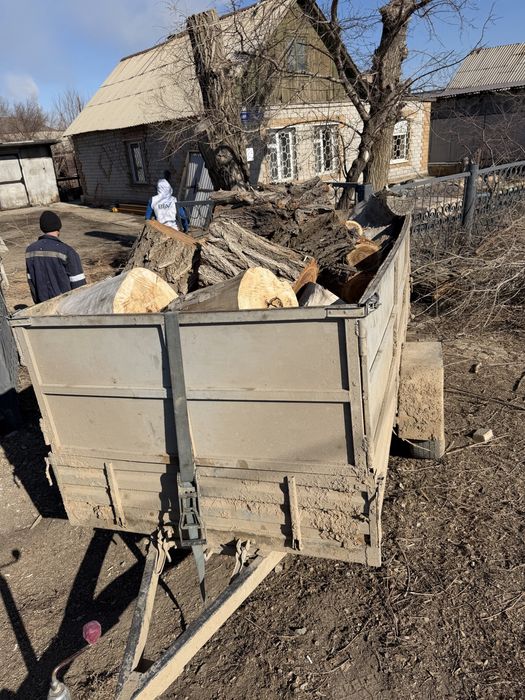 Продам дрова с доставкой