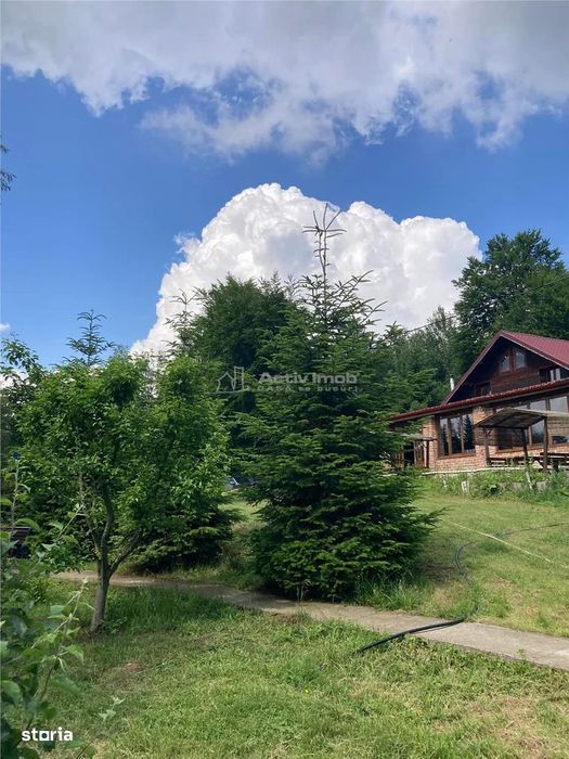 Pensiune - Restaurant - Cabanute - Lac pescuit