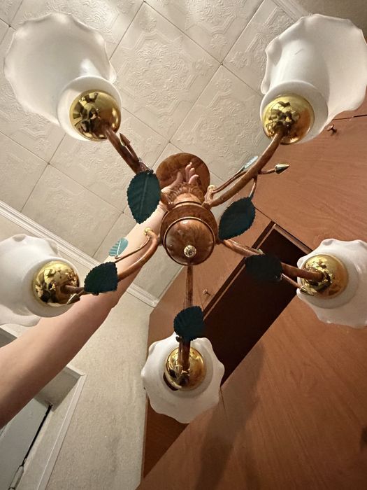 Люстра с плафонами