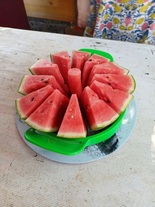 Давам за нощувки оборудвани каравани, първа линия море, собствен плаж