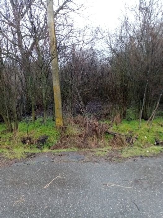 Teren 420 mp Intravilan - Giurgiu - Schitu