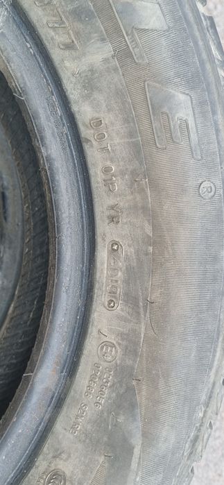 Резина зимняя TRIANGLE