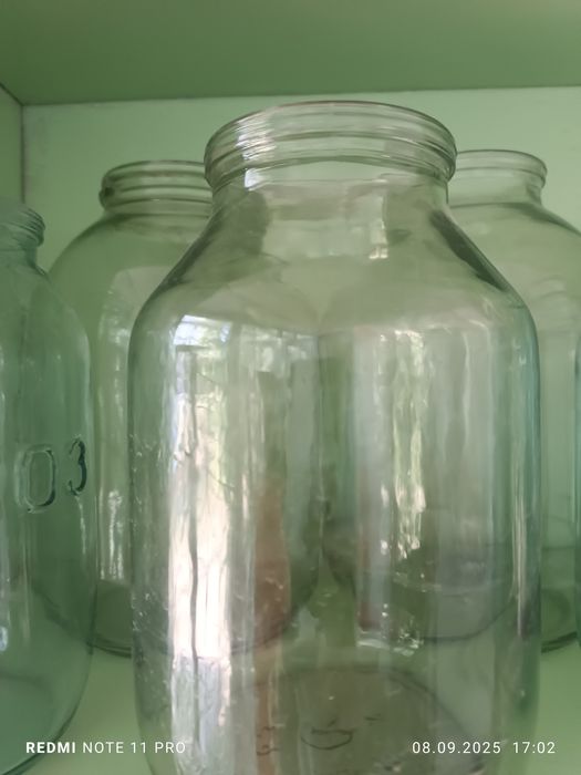 Продаются Комнатные цветы