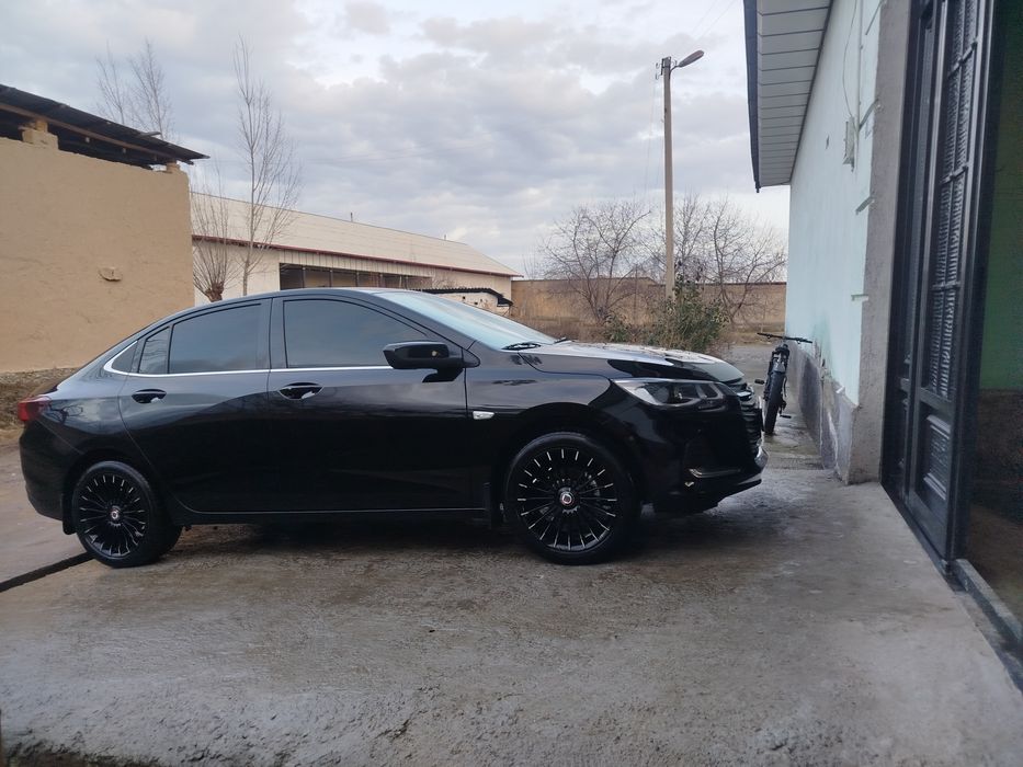 Alpina diska balon sotiladi r17
