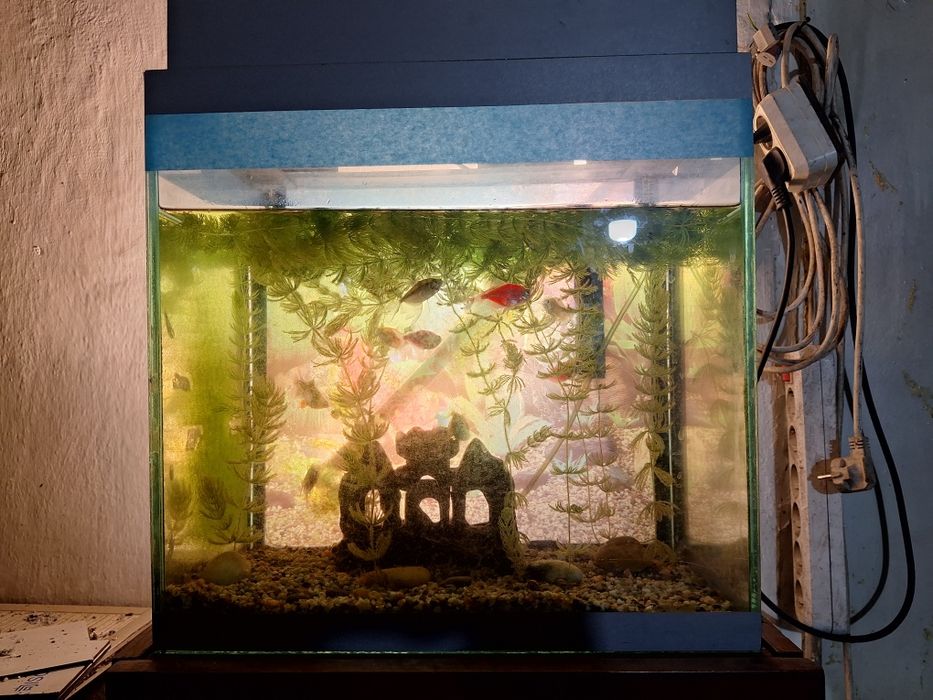 Продам аквариум срочно