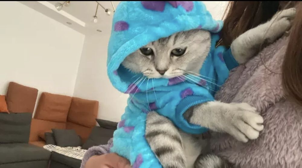 Комбенизон для животных монсртик