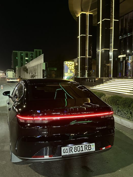 Byd chazor gibrid 4 poz