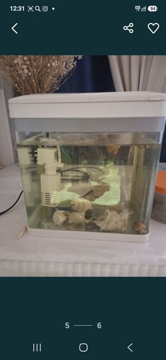 Срочно продам  все аквариумы