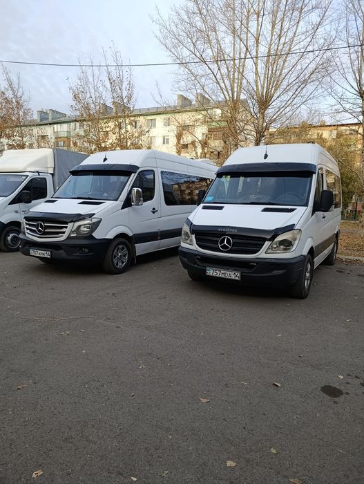 Пассажирские перевозки