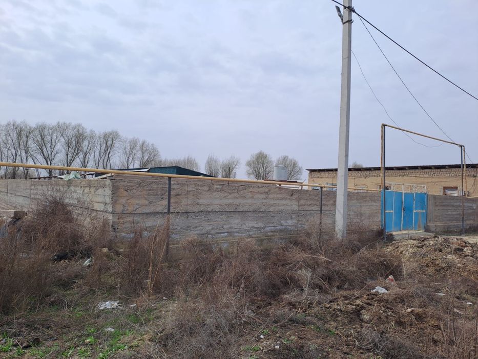 Фазенда в городе Жетысай