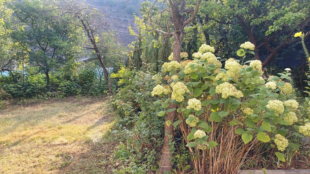 Продава се Къща в с. Церово, Област София-област - 132 кв.м за 1114 €/кв.м - Снимка #9