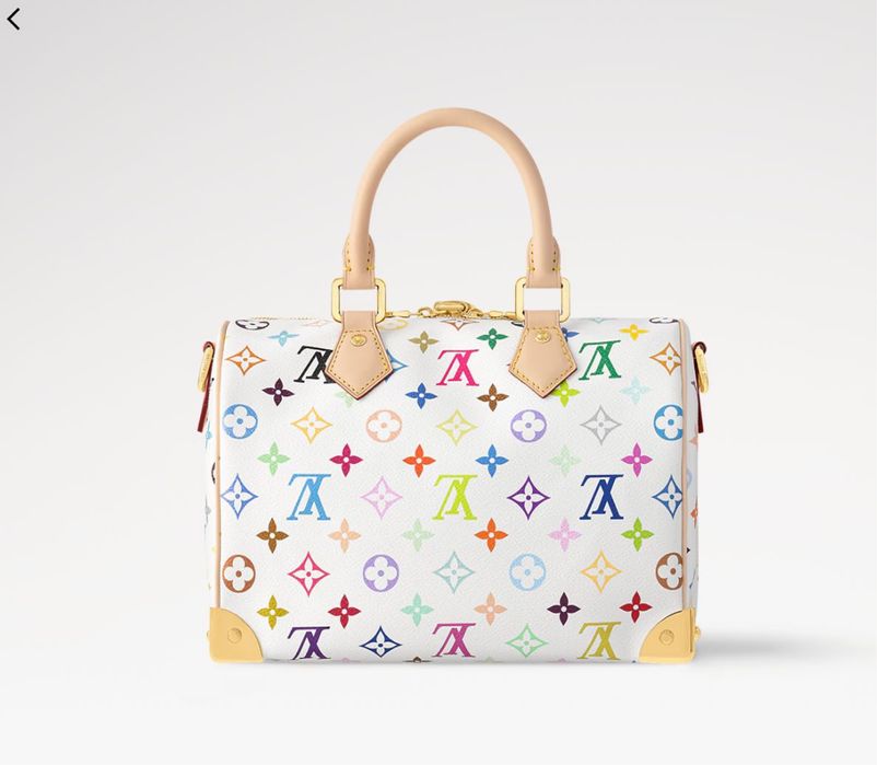 Сумка LV Louis Vuitton Speedy 25