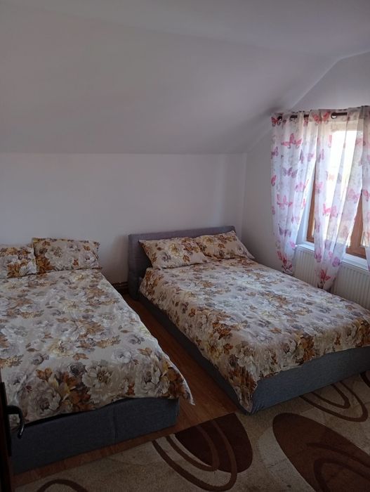 De închiriat Cabana Mister